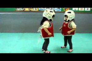 Mire la pelea de taekwondo más tierna del mundo