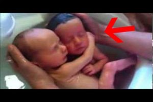 Enternecedor: Baño de dos mellizos causa ternura y se convierte en viral – VIDEO