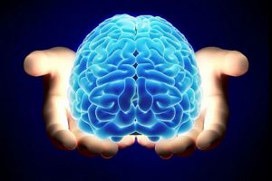 Sepa cuáles son los 5 hábitos que perjudican a su cerebro