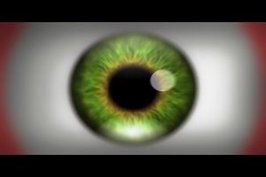 Pon a prueba tu visión con esta ilusión óptica – VIDEO