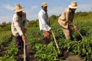 24 de junio: ¡Celebramos el Día del Campesino!