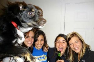 10 fotos que fueron arruinadas por perros