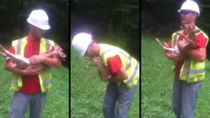 Tierno: Un cervatillo llora cuando lo dejan de acariciar (VIDEO)