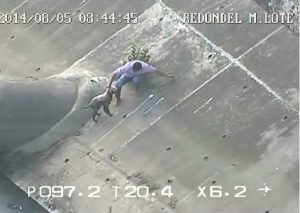 Un hombre rescata a un perrito atrapado en un canal en Ecuador (VIDEO)