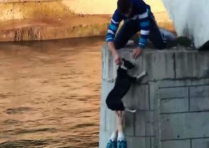 Hombre arriesga su vida para salvar a un cachorro (VIDEO)