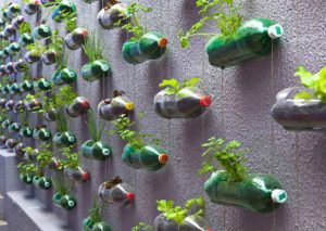 Descubre lo útil que pueden ser las botellas de plástico que ya no usas (FOTOS)
