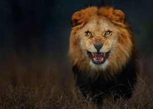El fotógrafo que captó esta imagen estuvo cerca de la muerte
