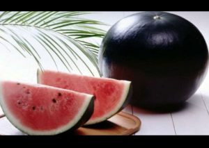 ¿La comprarías? No vas a creer a qué precio fue vendida esta sandía negra