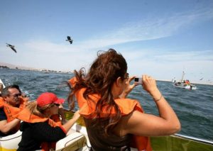 Gobierno declara el lunes 27 feriado no laborable