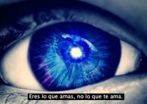 Este reflexivo video te enseñará a perseguir tus sueños y hacer lo que amas