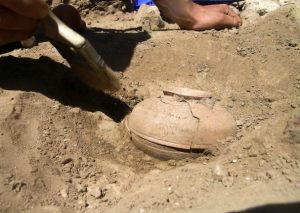 Esto es lo que pasó cuando sembraron semillas de 800 años de antigüedad (FOTOS)