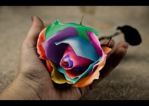 Test: Así es tu yo interior