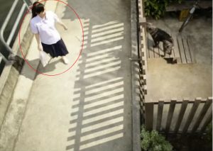 YouTube: ¡Muy conmovedor! Los perros le daban miedo hasta que…
