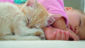 ¿Por qué tu gato duerme encima de ti?