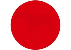 ¡Otro reto viral! ¿Qué ves en el punto rojo?