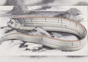¡Insólito! Monstruo marino habría aparecido en Taiwán luego de terremoto (FOTOS)