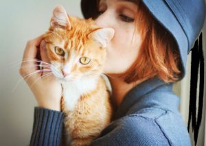 ¿Para qué personas son ideales los gatos? Descúbrelo aquí