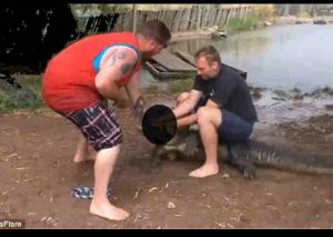 YouTube:  Cocodrilo le arrancó el dedo a un turista