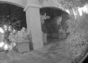 Facebook: Algo espeluznante apareció en su jardín – VIDEO