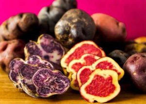 VIII Festival de Papa Nativa: Conoce la variedad que tenemos en Perú