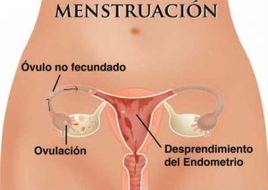 ¿No te viene la regla? Tranquila estas pueden ser las razones