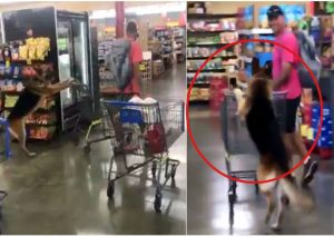 ¡Perro va de compras al centro comercial y sorprende a todos! (VIDEO)