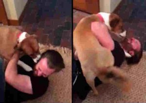 ‘Capitán América’: Emotivo reencuentro con mascota