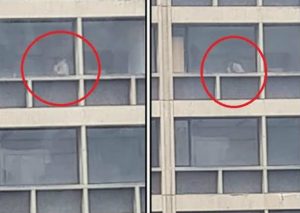 Viral: Pareja es captada teniendo sexo en plena universidad