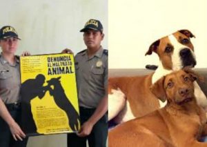 PNP inauguró el Departamento de Protección Y Bienestar Animal