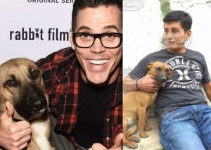 Usuarios desmienten a supuesto dueño de ‘Wendy’, ‘la perrita de Hollywood’ (FOTOS)