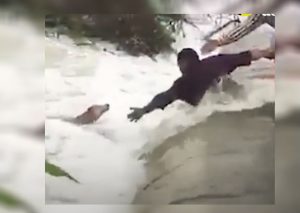 Facebook Viral: Hombres dan la vida por evitar que perro se ahogue (VIDEO)