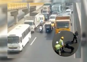 Facebook Viral: Policías detienen tránsito en Panamericana Norte para rescatar a ‘perrito’