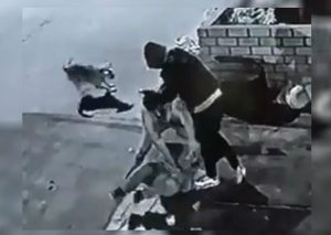Conoce a gringo: El perro que salvó a un hombre de ser asaltado