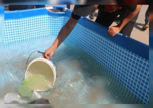 ¡ALERTA! Cómo evitar que te pase la ameba en la piscina