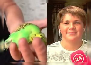 ‘Chimuelo’, La historia contada por el niño que grabó el viral (VIDEO)