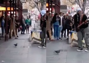 Paloma sorprende al ‘bailar’ en plena calle (VIDEO)