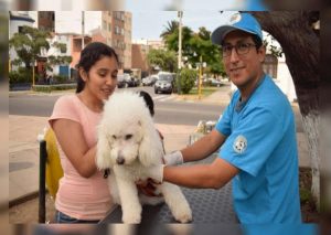 Ya puedes atender a tu mascota gratis durante todo el año