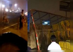Camión lleno de gallinas se despista y vecinos aprovecharon en llevarse las aves