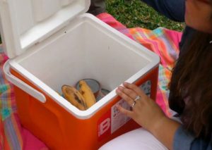 Conoce qué alimentos llevar al día de playa o piscina