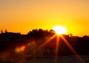 Según estudio, luz solar podría matar al Covid-19 sobre una superficie