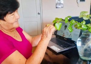 Municipalidad de Lima lanza escuela virtual para aprender a cultivar