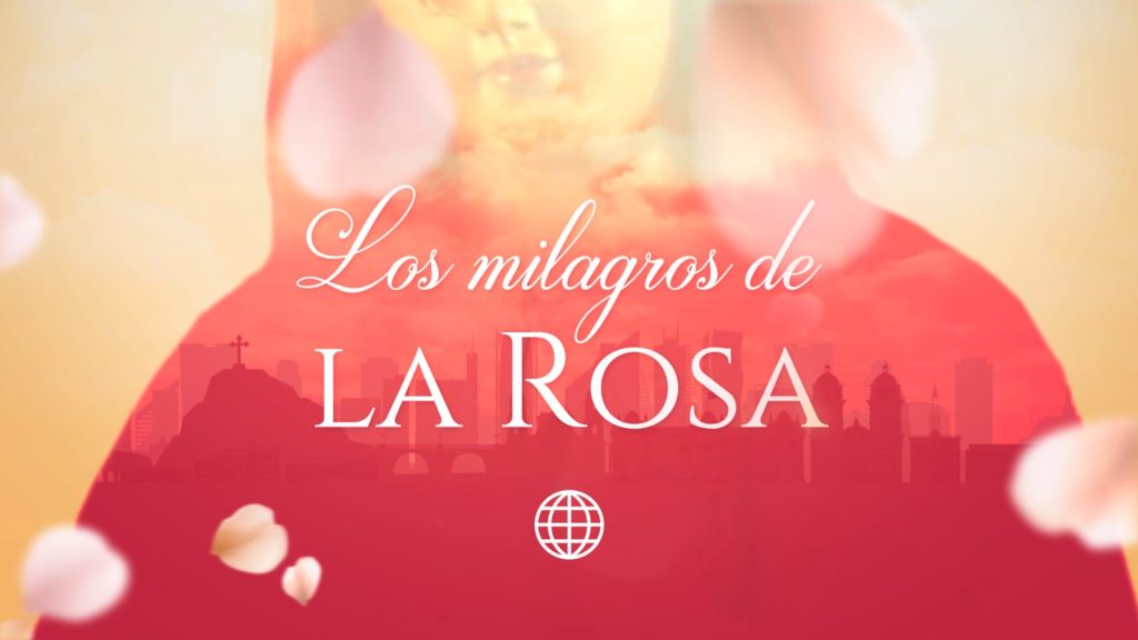 “Los Milagros de la Rosa” lidera su horario y reafirma el éxito de América TV
