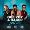 Qué voy a hacer sin ti