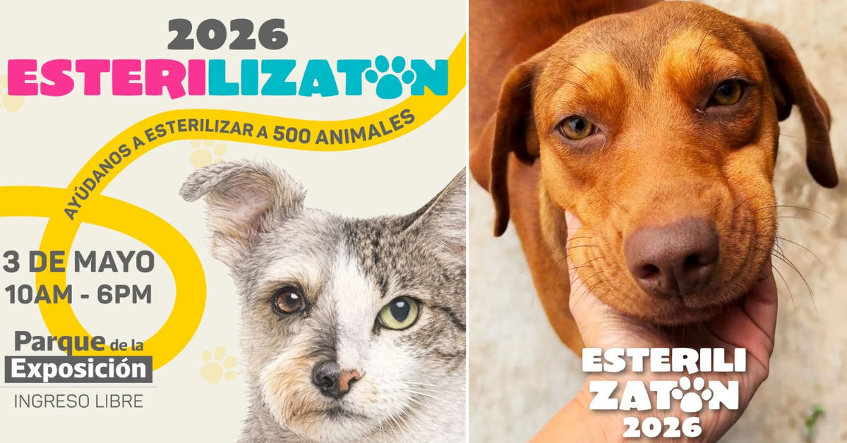 ESTERILIZATÓN 2026: EL EVENTO QUE BUSCA TRANSFORMAR LA VIDA DE MÁS DE 500 ANIMALES EN SITUACIÓN DE CALLE